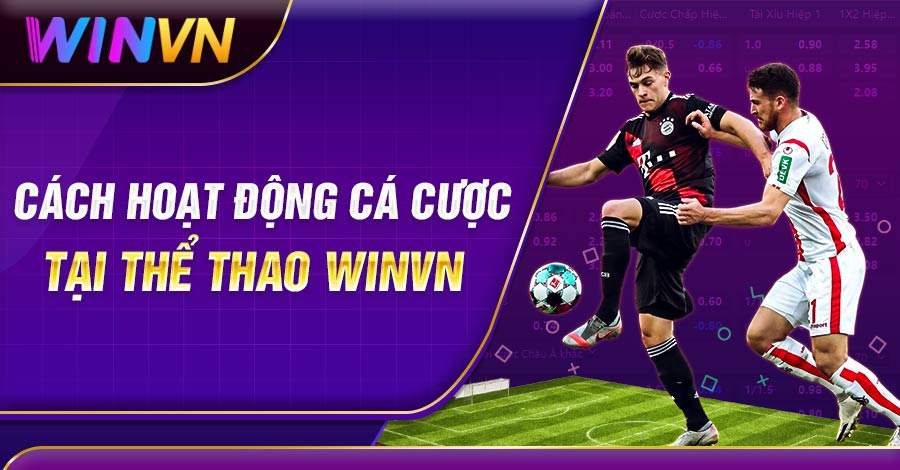 Cách hoạt động cá cược tại Thể Thao Winvn
