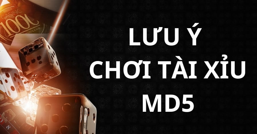 Lưu ý khi tham gia chơi tài xỉu MD5.