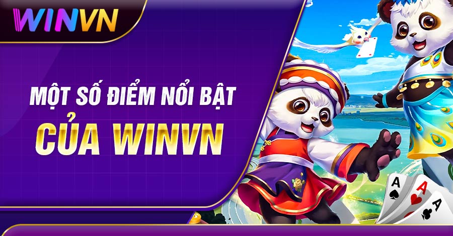 Một số điểm nổi bật của Winvn
