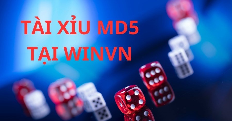 Tại sao nên chọn chơi tài xỉu MD5 tại winvn?