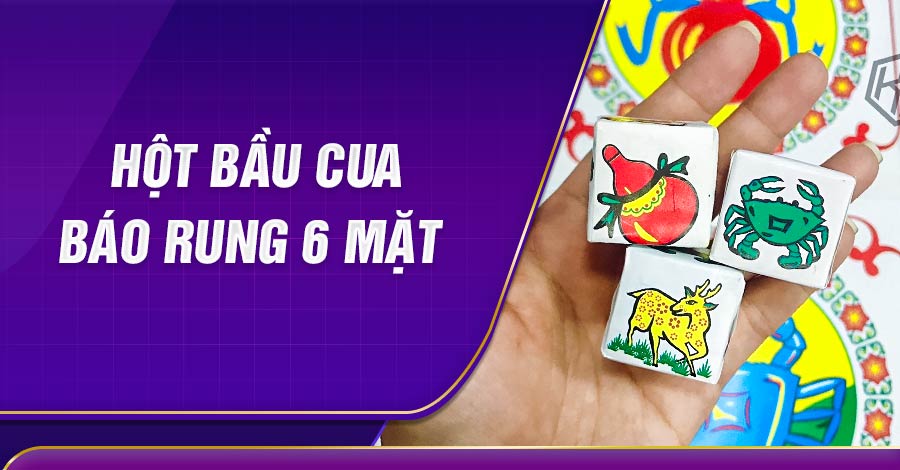 Hột bầu cua báo rung 6 mặt