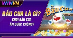 Bầu Cua là gì? Chơi Bầu Cua ăn được không?